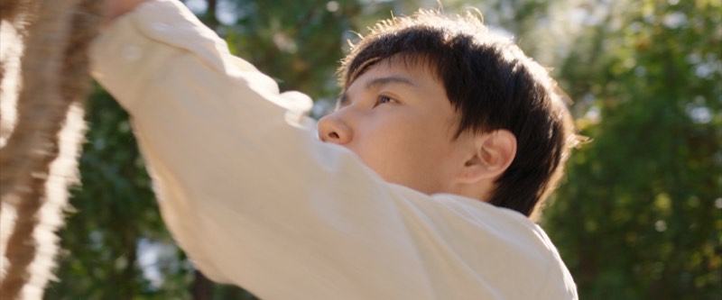 The Deer film still 1