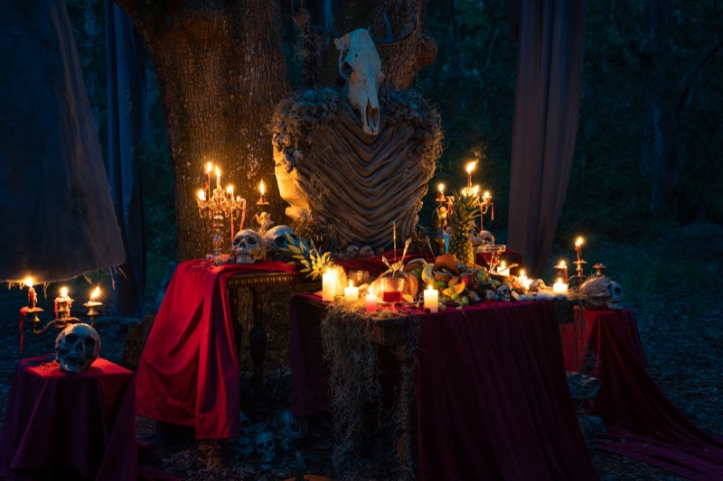 The Deer film still 7
