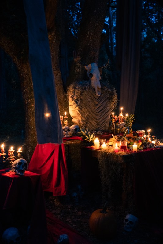 The Deer film still 9